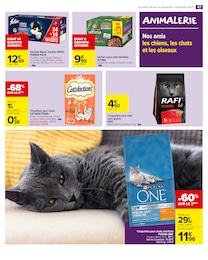 Offre Purina dans le catalogue Carrefour Market du moment à la page 49