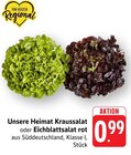 EDEKA - Kraussalat Angebot im Prospekt Kraussalat bei EDEKA im Prospekt "" für 0,99 €