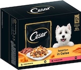 Hundenahrung Angebote von Cesar bei REWE Norderstedt für 5,00 €