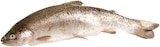 Aktuelle Fisch Angebote bei REWE in Trier Aktuelles Forelle Angebot bei REWE in Trier ab 1,19 €