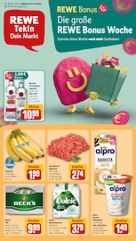 REWE Discounter Prospekt der aktuellen Woche mit 24 Seiten, gültig von 13.10.2025 bis 18.10.2025, in Heusenstamm und Umgebung Aktueller REWE Discounter Prospekt in Heusenstamm und Umgebung, "Dein Markt" mit 24 Seiten, 13.10.2025 - 18.10.2025