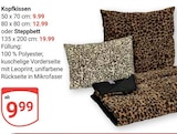 Kopfkissen Angebote bei GLOBUS Rostock für 9,99 €