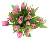 Tulpen Angebote bei Penny Oberhausen für 4,99 €