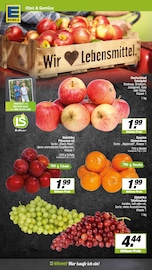 Obst im EDEKA Prospekt in Münster Aktueller EDEKA Prospekt mit Obst, "Aktuelle Angebote", Seite 2