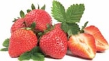 Erdbeeren im EDEKA Prospekt Erdbeeren im aktuellen EDEKA Prospekt für 2,44 €