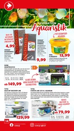Ähnliche Granit-Pflastermatte Angebote im Prospekt "Aktuelle Angebote" von Zookauf Ähnliches Angebot bei Zookauf in Prospekt "Aktuelle Angebote" gefunden auf Seite 14