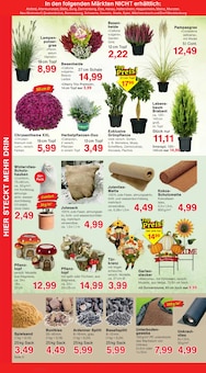 Blumentopf im Jawoll Prospekt "Sonderposten-Märkte" mit 12 Seiten (Bergisch Gladbach)