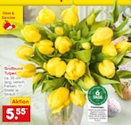 Aktuelle Tulpen Angebote bei Netto Marken-Discount in Karlsruhe Aktuelles Großbund Tulpen Angebot bei Netto Marken-Discount in Karlsruhe ab 5,55 €
