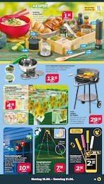 Tischdecke Angebot & Preis im aktuellen Netto mit dem Scottie Prospekt Tischdecke Angebot im aktuellen Netto mit dem Scottie Prospekt auf Seite 20