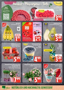 Blumen im EDEKA Prospekt "Top Angebote" mit 30 Seiten (Hamburg)