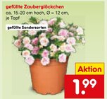 Gefüllte Zauberglöckchen  im aktuellen Netto Marken-Discount Prospekt für 1,99 €