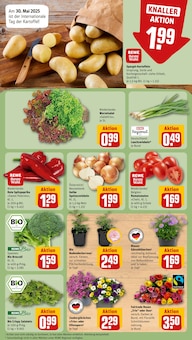 Spargel im REWE Prospekt "Dein Markt" mit 30 Seiten (Lübeck)