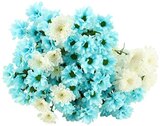 Strauß Chrysantheme Oktoberfest im Angebot bei REWE in Passau Strauß Chrysantheme Oktoberfest Angebote bei REWE Passau für 5,49 €