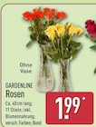 Rosen von Gardenline für 1,99 € bei ALDI Nord im Angebot Rosen von Gardenline im aktuellen ALDI Nord Prospekt