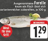 EDEKA Koblenz - Forelle Angebot im Prospekt Forelle bei EDEKA im Koblenz Prospekt für 1,29 €