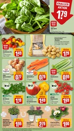 Ähnliche Angebote wie Terrassenplatten im Prospekt "Dein Markt" auf Seite 7 von REWE in Bornheim