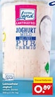 Aktuelle Joghurt Angebote bei Netto Marken-Discount in Wuppertal Aktuelles Laktosefreier Joghurt Angebot bei Netto Marken-Discount in Wuppertal ab 0,89 €