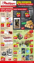 Aktueller Thomas Philipps Discounter Prospekt für Peine 18.09.2023 - 23.09.2023 Thomas Philipps Prospekt für Peine mit 8 Seiten