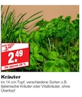 bauSpezi Neunkirchen - Kräuter Angebot im Prospekt Kräuter bei bauSpezi im Neunkirchen Prospekt für 2,49 €