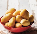 Pomme de terre à chair ferme nouvelle récolte en promo chez Super U Cergy à 2,50 €