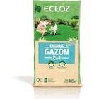 Engrais gazon 2 en 1 ECLOZ - ECLOZ dans le catalogue Jardiland