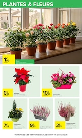 Jardinière en promo dans le catalogue Carrefour à la page 30