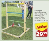 Leitergolf bei famila Nordwest im Westerstede Prospekt für 29,99 €