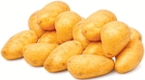Speisekartoffeln Drillinge im Angebot bei Netto mit dem Scottie in Norderstedt Speisekartoffeln Drillinge Angebote bei Netto mit dem Scottie Norderstedt für 1,49 €