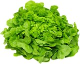 Salat Eichblatt im Angebot bei REWE in Nürnberg Salat Eichblatt Angebote von REWE Regional bei REWE Nürnberg für 0,44 €