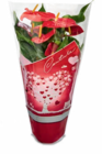 Aktuelles Anthurie Flamingoblume Angebot bei Netto Marken-Discount in Bonn ab 5,99 €