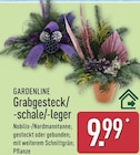 Grabgesteck/-schale/-leger bei ALDI Nord im Falkensee Prospekt für 9,99 €