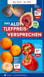 Gemüse im ALDI SÜD Prospekt in Bensheim Aktueller ALDI SÜD Prospekt mit Gemüse, "Gutes für Alle.", Seite 3