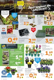 Pflanzen im Globus-Baumarkt Prospekt in Kaarst Aktueller Globus-Baumarkt Prospekt mit Pflanzen, "Immer eine Idee besser", Seite 2