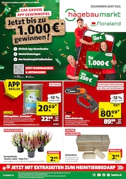 Hagebaumarkt Prospekt für Gaildorf: "SO günstig geht das!", 22 Seiten, 27.09.2025 - 04.10.2025