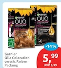 Olia Coloration von Garnier im aktuellen budni Prospekt