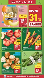 Zucchini im ALDI Nord Prospekt in Paderborn Aktueller ALDI Nord Prospekt mit Zucchini, "Aktuelle Angebote", Seite 2