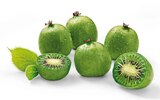 Kiwibeeren im Angebot bei REWE in Oberhausen Kiwibeeren Angebote von Nergi bei REWE Oberhausen für 1,99 €