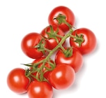 Cocktail-Rispentomaten bei Netto mit dem Scottie im Brandenburg Prospekt für 2,19 €