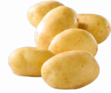 Speisekartoffeln Angebote von BioBio bei Netto Marken-Discount Aschaffenburg für 1,00 €