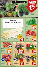 Bio Lebensmittel Angebote im Prospekt "Dein Markt" von REWE auf Seite 7