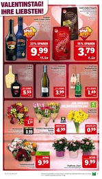 Sekt Angebot im aktuellen Marktkauf Prospekt auf Seite 7