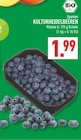 Marktkauf Münster - KULTURHEIDELBEEREN Angebot im Prospekt KULTURHEIDELBEEREN bei Marktkauf im Münster Prospekt für 1,99 €