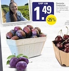 WEZ - Deutsche Zwetschen Angebot im Prospekt Deutsche Zwetschen bei WEZ im Prospekt "" für 1,49 €