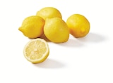 Zitronen im aktuellen Prospekt bei Lidl in Proßmarke