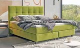 Aktuelles BOXSPRING-BETT Angebot bei Polstermöbel Fischer in Fürth ab 1.990,00 €