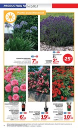 Offre Lavande dans le catalogue Hyper U du moment à la page 4