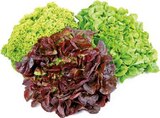Bunte Salate im Angebot bei EDEKA in Hamm Bunte Salate Angebote bei EDEKA Hamm für 0,99 €