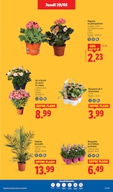 Parfum Angebote im Prospekt "Coup d'envoi sur les promos !" von Lidl Parfum Angebote im Prospekt "Coup d'envoi sur les promos !" von Lidl auf Seite 33