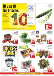 Pflanzen im EDEKA Prospekt in Freital Aktueller EDEKA Prospekt mit Pflanzen, "Wir lieben Lebensmittel!", Seite 15
