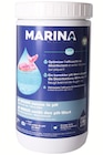 PH Minus Granulat Angebote von MARINA bei Wreesmann Dessau-Roßlau für 7,99 €